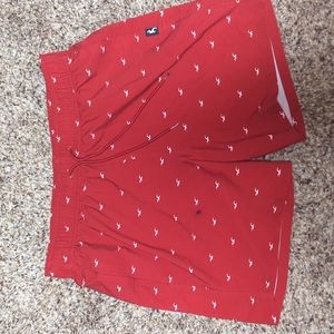 Hollister swim trunks